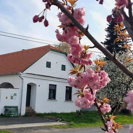Villa Fuszeres Porta Mihalyfa Esterno foto