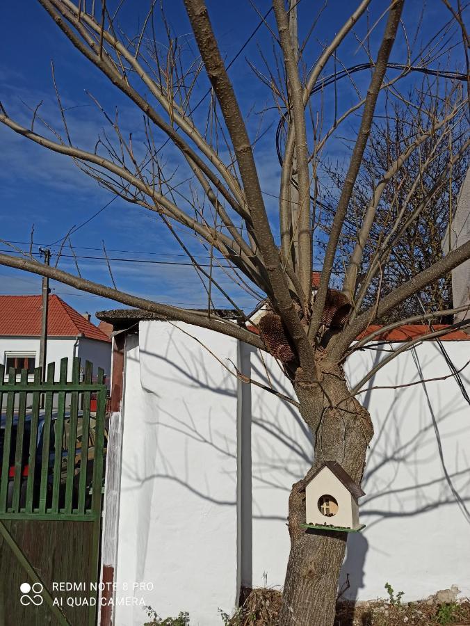 Villa Fuszeres Porta Mihalyfa Esterno foto