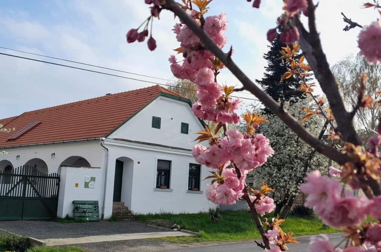 Villa Fuszeres Porta Mihalyfa Esterno foto